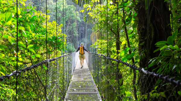 Promociones sin fraude